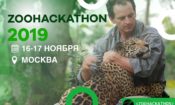 Zoohackathon IT Marathon