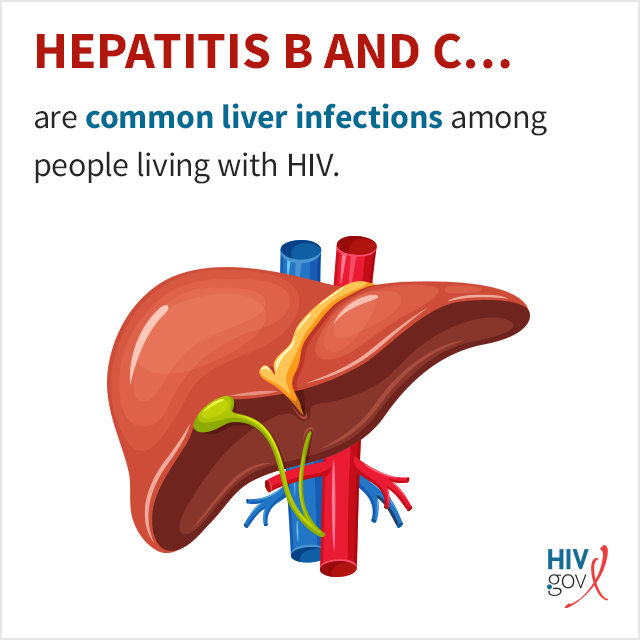Hepatitis B and C are common liver infections among people living with HIV.