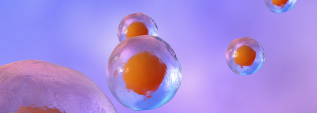3D rendering of stem cells. Focus On Stem Cell Research banner image.
