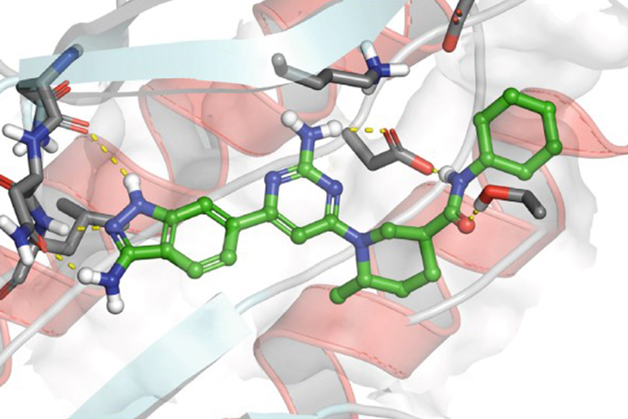 A compound attaches to a protein target.