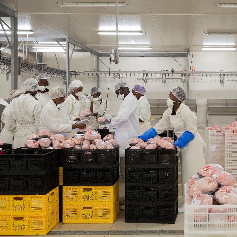 Workers in a poultry processing plant in Senegal