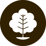 tree icon