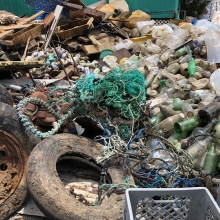 Marine debris collected from the 2018 Great Mangrove Cleanup.