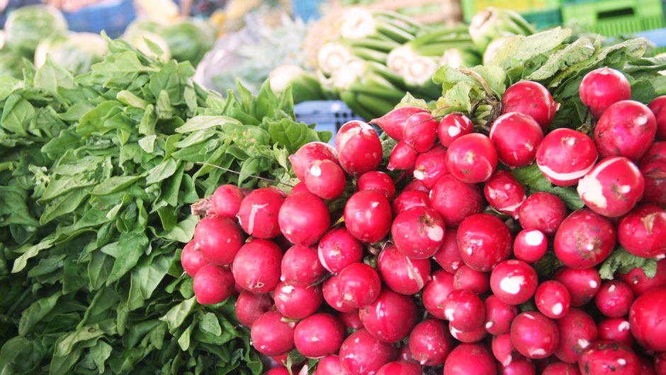 Vibrant radishes in a pile