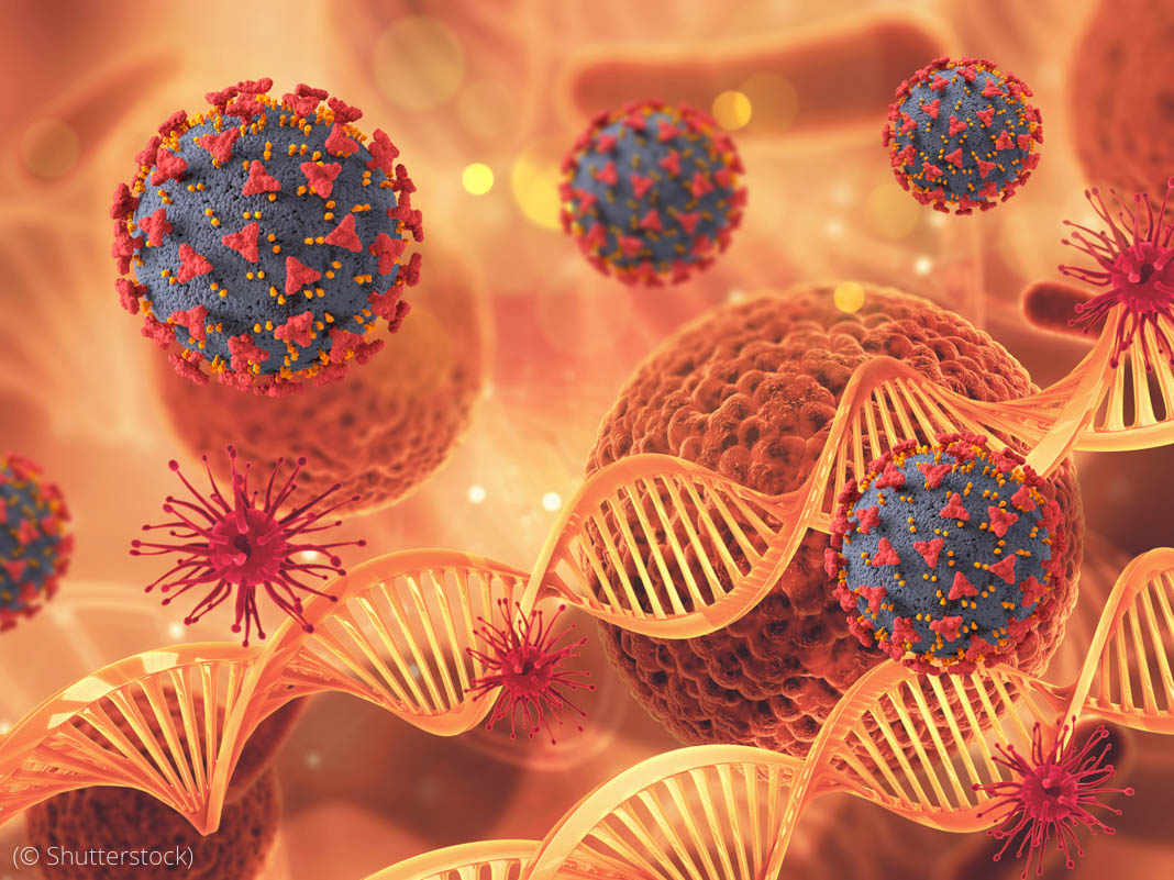 Digital drawing of COVID-19 virus attacking DNA strands (© Shutterstock)