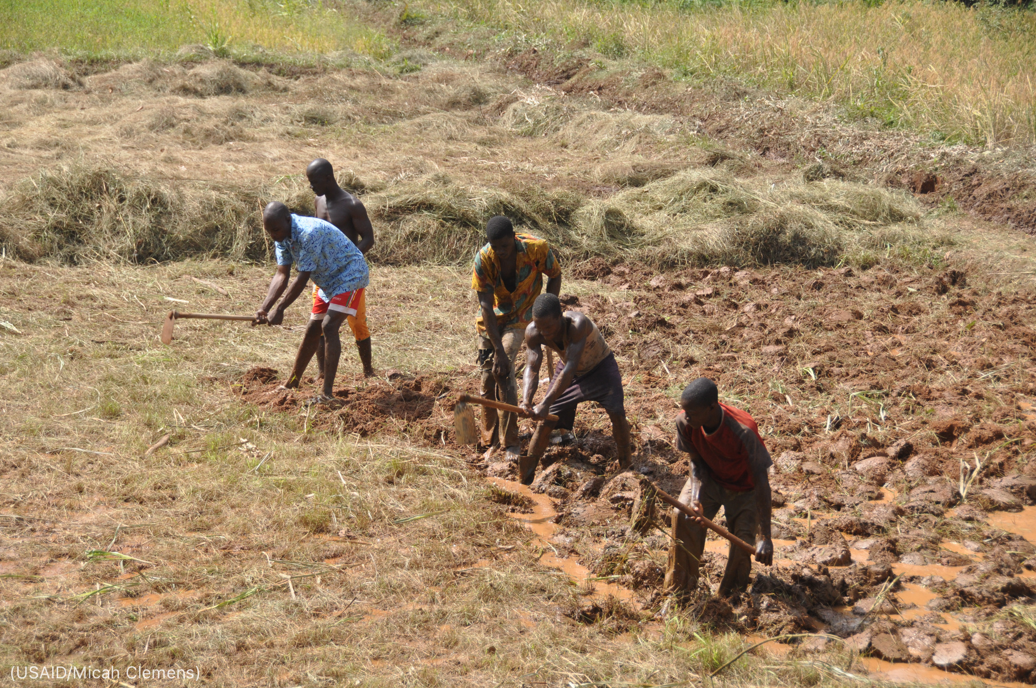 Five men breaking up farmland with hand tools (USAID/Micah Clemens)