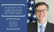 STATEMENTS AT WTO BY AMBASSADOR SHEA