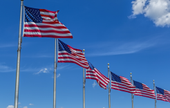 Row of United States flags blowing in wind