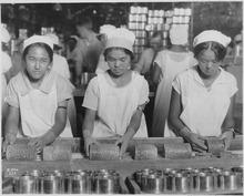 Three young women pack pineapples into cans in 1928.