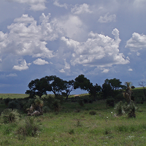 Bar Boot Ranch Conservation Easement on Leslie Canyon NWR in AZ