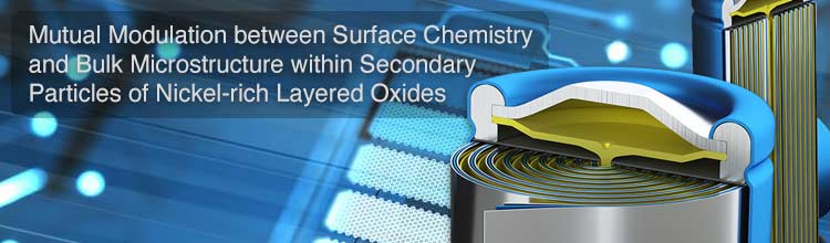 Microstructure within Secondary Particles of Nickel-rich Layered Oxides