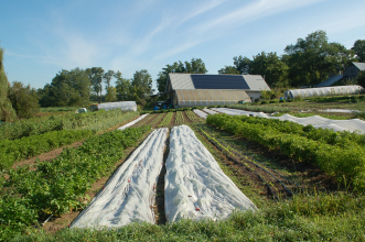 Sustainable farm energy (Photo credit: Cornell Small Farms Program).