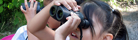 Testing Out the Binoculars Searching to spot the first bird of the day/Meghan Kearney USFWS