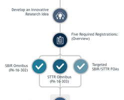 SBIR Program Infographic