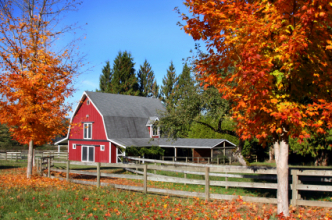 Red barn in Autumn.  (Copyright IStock)