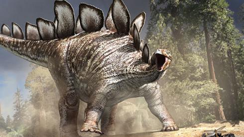 Stegosaurus