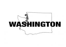 Washington Graphic