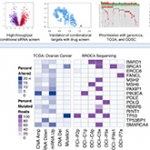 Integration of functional genomics with PDCs and big data for drug combination identification.