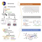 Graphical Abstract Zhao et al. (2020) Cancer Cell.