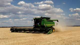 Fields of barley in Western Australia