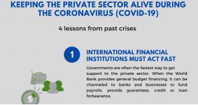 Keeping the Private Sector Alive During the Coronavirus (COVID-19): 5 lessons from past crises