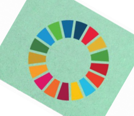 Sustainable Development Goals (SDGs)