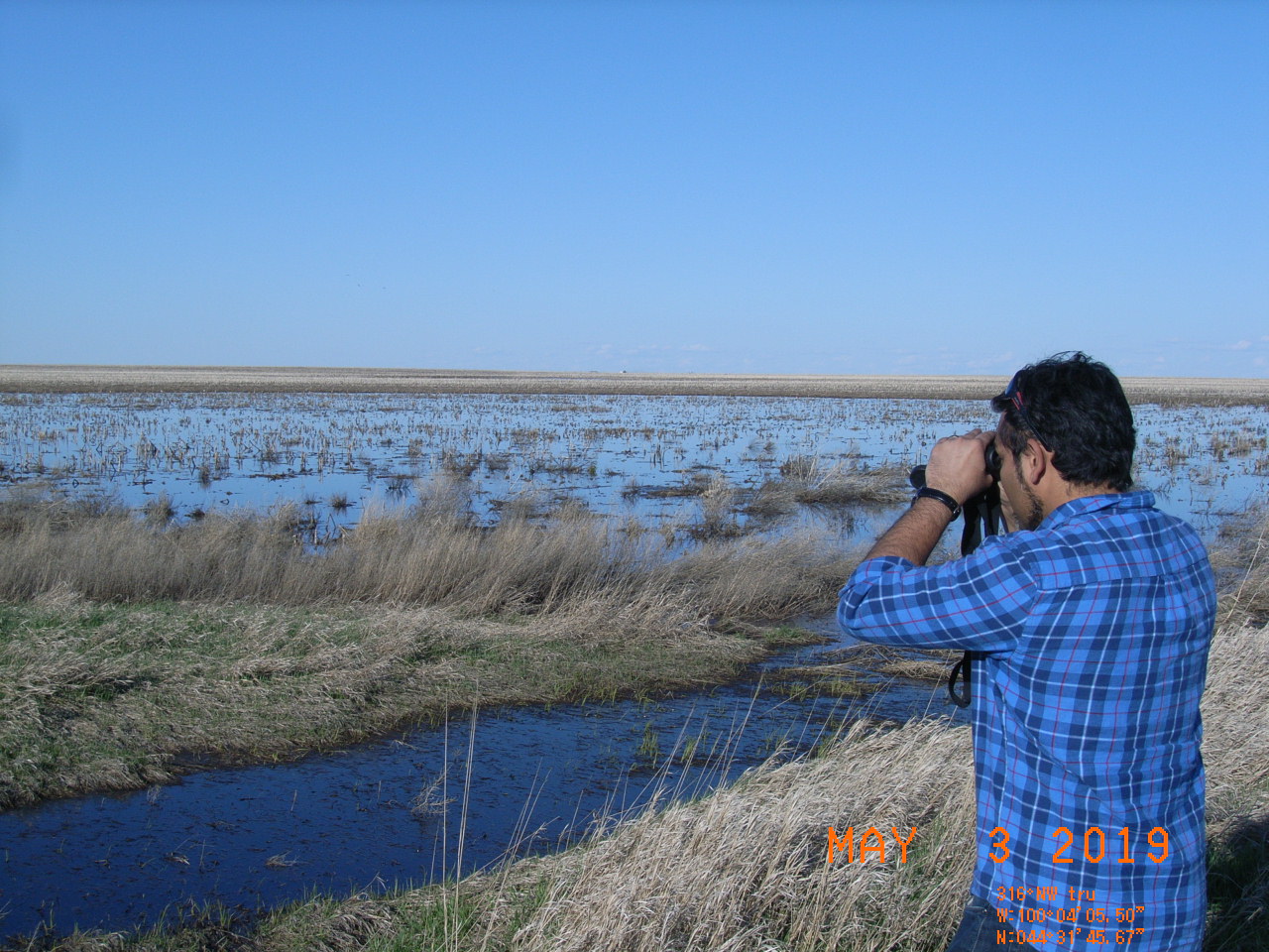 Ryan Anthony looking through binoculars at a wetland. USFWS