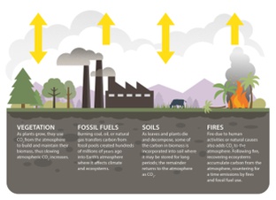 Learn More OCO-2 Science