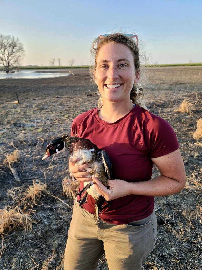 Stephanie Catino posing with a banded adult male wood duck, USFWS