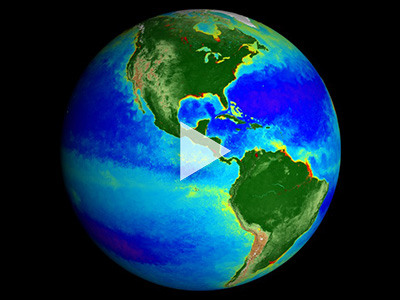 This data visualization represents 20 years worth of data taken by SeaStar/SeaWiFS, Aqua/MODIS, and Suomi NPP/VIIRS satellite sensors, showing the abundance of life both on land and in the sea. Credit: NASA GSFC