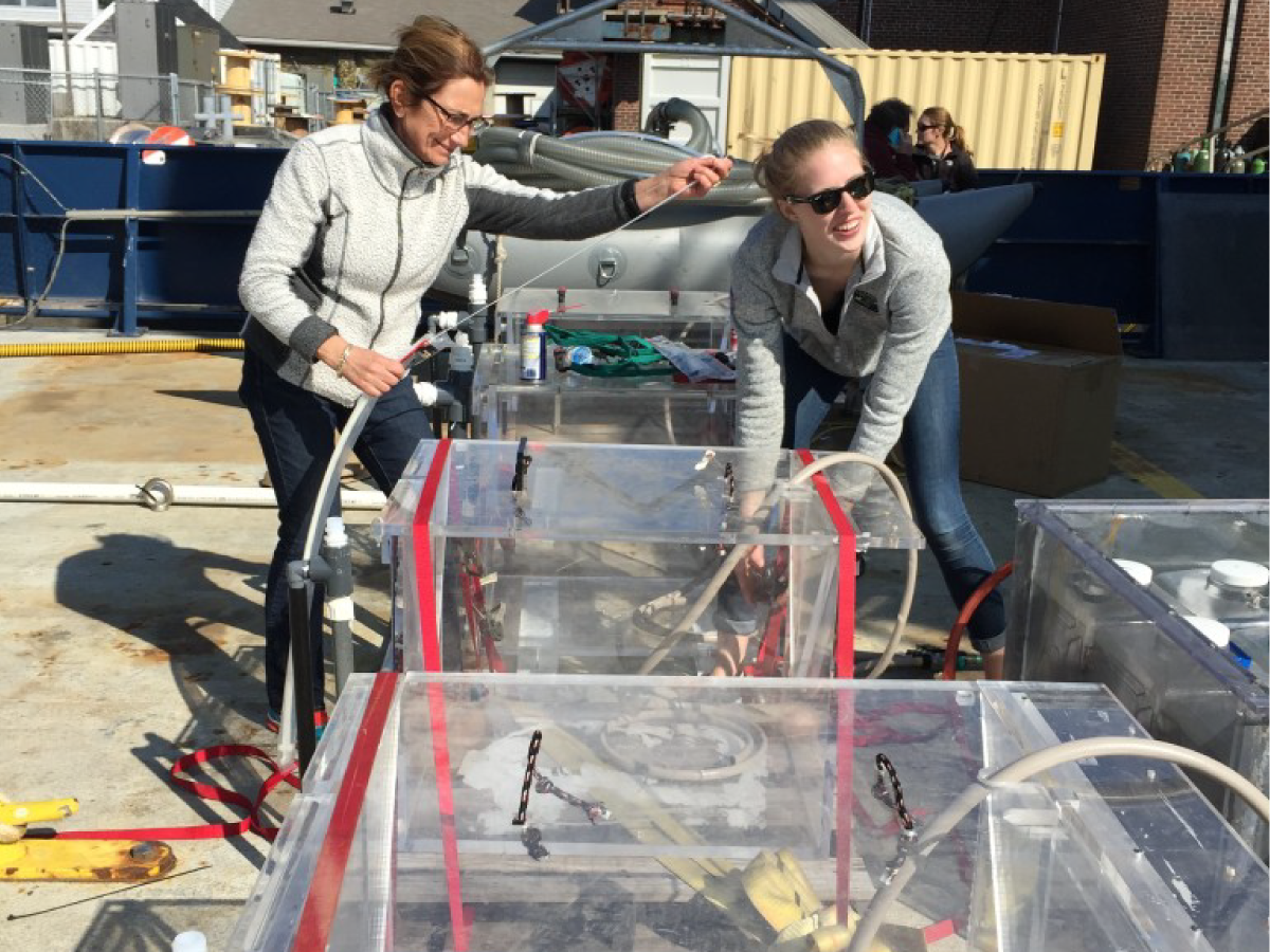 Françoise Morison (URI) and Caitlin Russell secure incubators used to measure phytoplankton growth rates