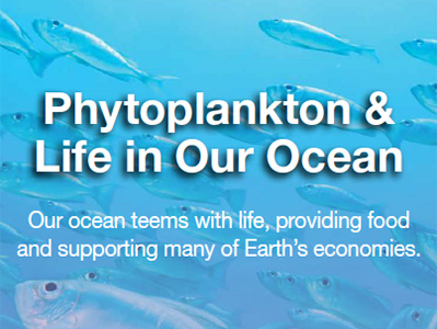 Phytoplankton & Life in Our Ocean Brochure