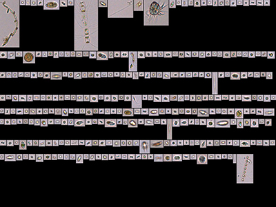 Water is fed through the FlowCam at a specific magnification wherein a camera is triggered to take a digital image of each particle that passes by the field of view. Credit: Schmidt Ocean Institute/Aimee Neeley