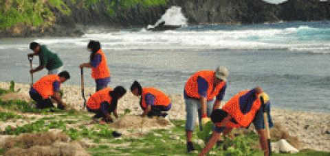 Tsunami Clean-Up Efforts