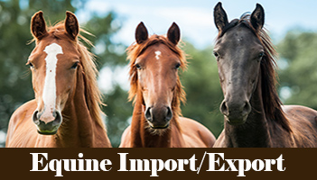 Equine Import/Export