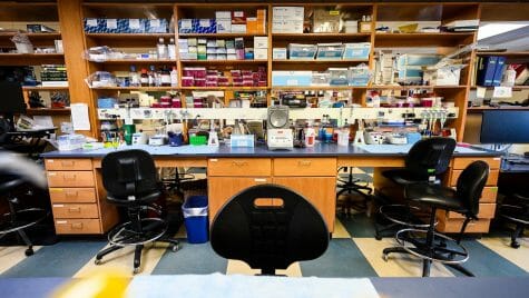 With most laboratory-based research suspended and staff working remotely on data analysis and other research-related tasks due to COVID-19 closures, a vacant laboratory space is pictured at the AIDS Vaccine Research Laboratory (AVRL) at the University of Wisconsin-Madison while on March 18, 2020. The photo is part of ongoing documentation of the impact of and UW-Madison campus response to the global coronavirus (COVID-19) pandemic. (Photo by Jeff Miller / UW-Madison)