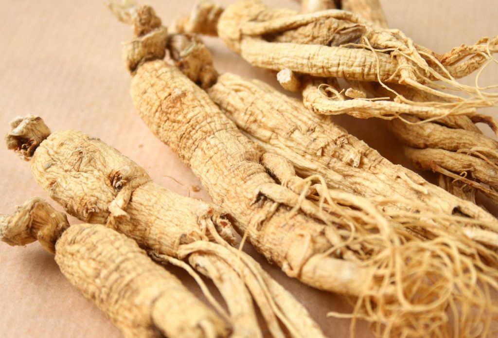 Panax Ginseng