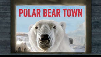 Polar Bear Town