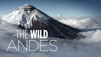 The Wild Andes