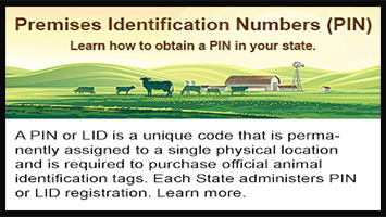 PIN ID Map