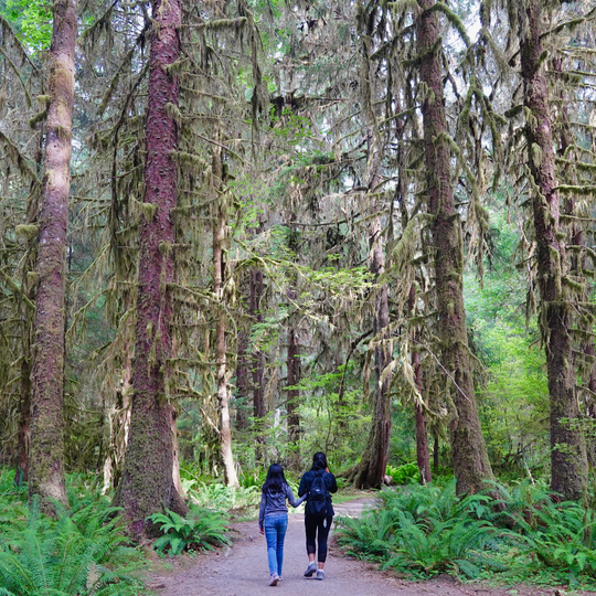 Olympic National Park