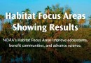 NOAA’s Habitat Focus Areas: Showing Results