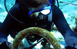 Robert Schwemmer documents rigging of the American whaling ship Parker.