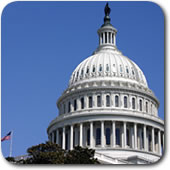 The Voice of AACAP - Advocacy and Policy