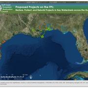 GIS and Custom Application Support for the Gulf Coast Ecosystem Restoration Council 