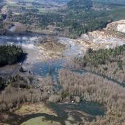 Image: Oso, Washington Landslide