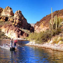  Standard Fish Sampling Techniques and Environmental DNA for Characterizing Fish Relative Abundance, 