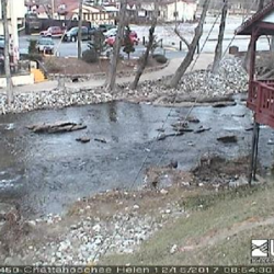 View of river from webcam