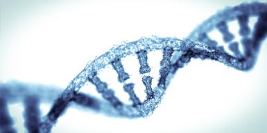 Close up of DNA