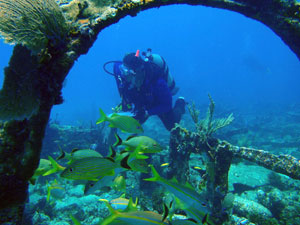 diver exploring a shipwreck